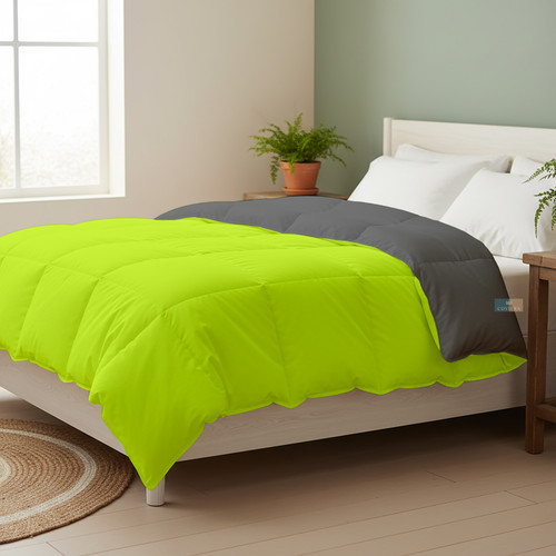 Parrot D Grey (16).jpg