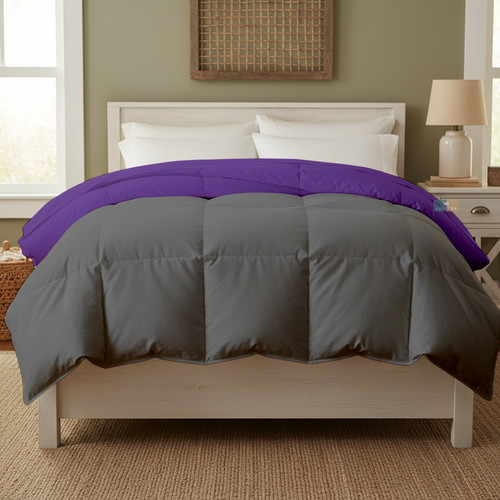 Purple D Grey (17).jpg