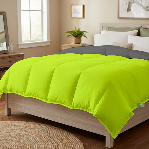 Parrot D Grey (21).jpg