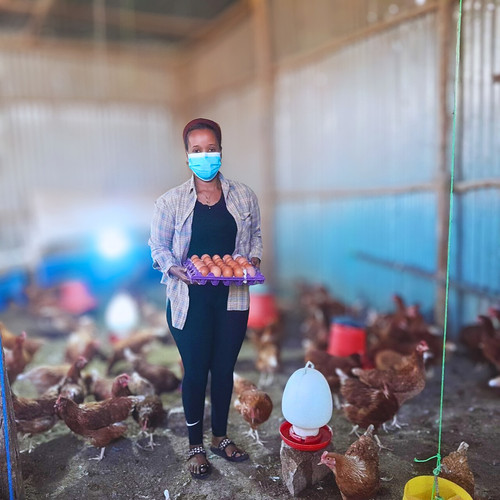 Hawi Pic Edited Edited.jpg