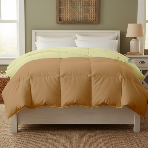 Beige Ivory (19).jpg