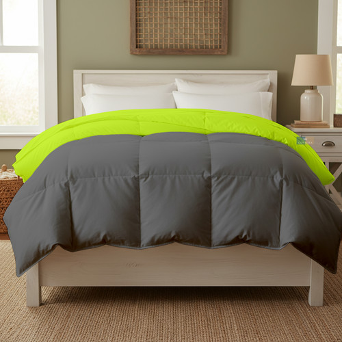 Parrot D Grey (18).jpg