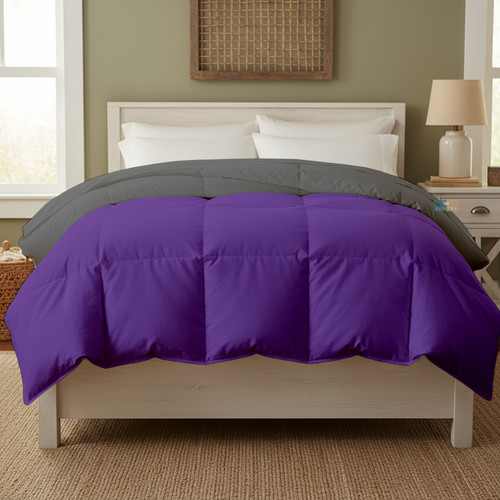 Purple D Grey (19).jpg