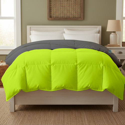 Parrot D Grey (19).jpg