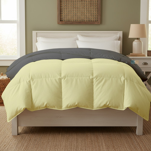 Ivory D Grey (19).jpg