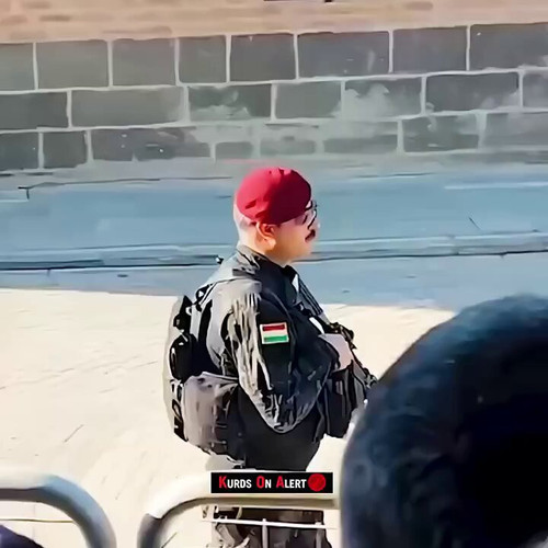 TkZgLFZkR0wFcySO.jpg