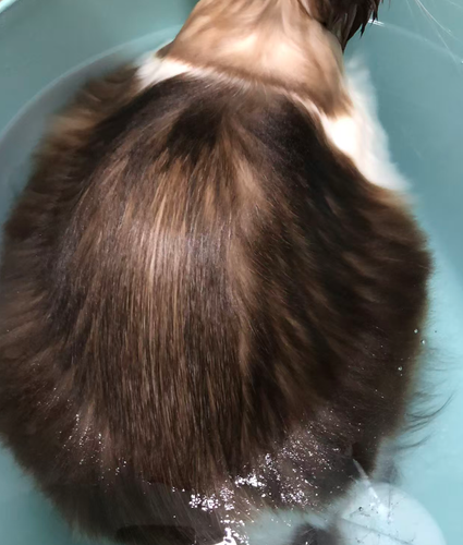 微信图片 20251202112850 519 74.png