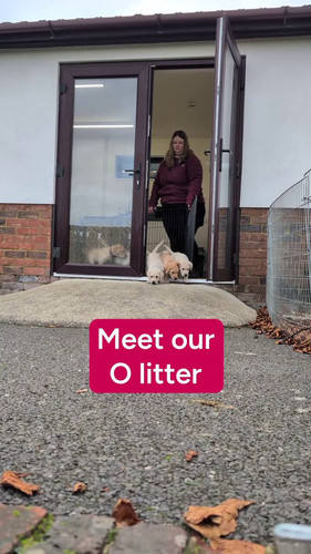 AYgM 8Cv3CkttJzo.jpg