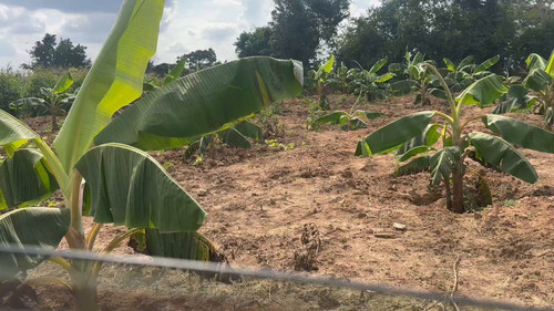 Q8OZd mlh5QYWP7u.jpg