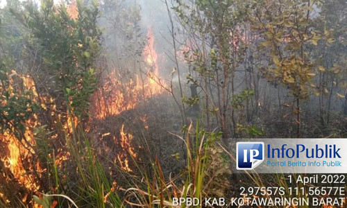 WhatsApp Image 2022 04 01 at 19 14 20 768x461 wmcomp.jpg