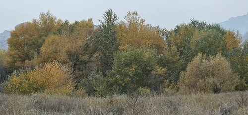 591763726 1268561341981654 6582095557386725738 n.jpg?stp=dst jpg s590x590 tt6& nc cat=111&ccb=1 7& n.jpg