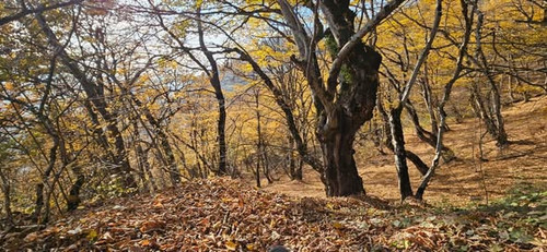 591749842 1268561285314993 2537601507229363592 n.jpg?stp=dst jpg s590x590 tt6& nc cat=102&ccb=1 7& n.jpg