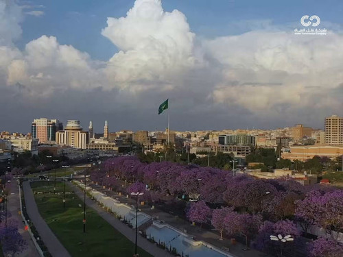 laz1 y4RDCrF2kmO.jpg