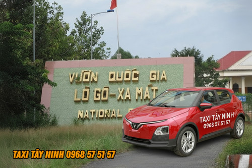 xe10.jpg