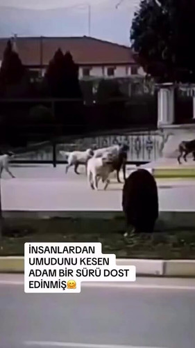 zTY2TS95iQY jSa0.jpg