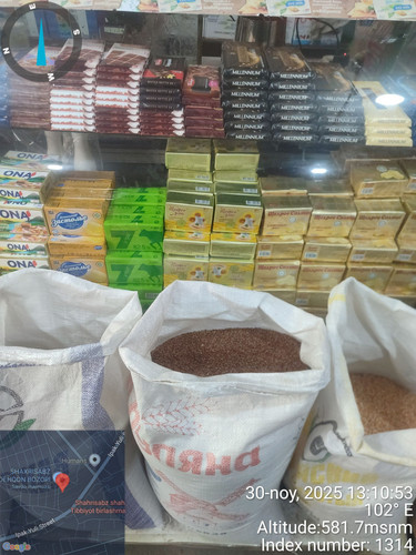 sheralii.jpg