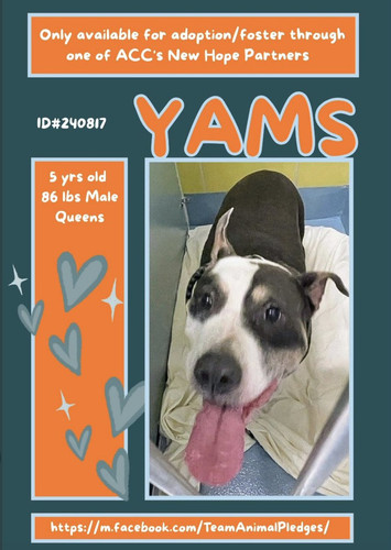 G5aKL1UXkAA Z8y?format=jpg.jpg