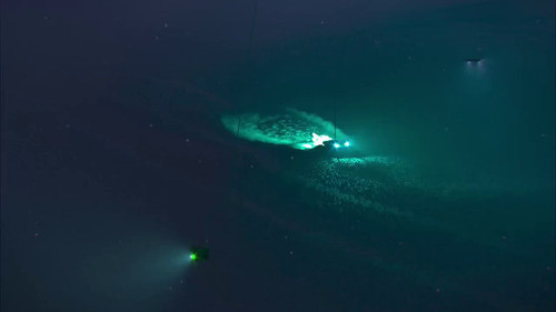 cKG08dA8VfjcT cN.jpg