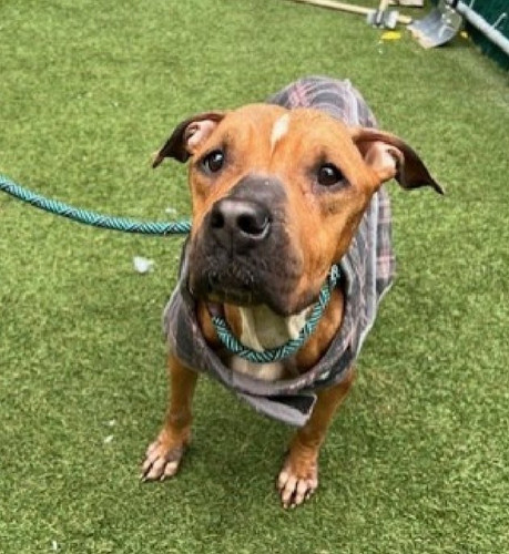 G4bjwLyXcAAC wQ?format=jpg.jpg