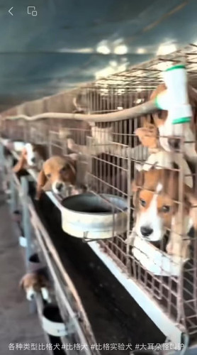 7yNuOVKne7RPC Kx.jpg