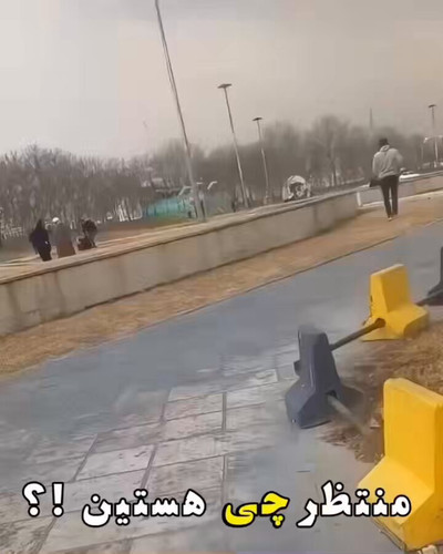 y8YN1xQao gX5l52.jpg