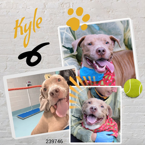 G6ARN VaAAAYwD8?format=jpg.jpg