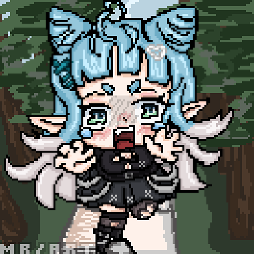 IMG 1081.png