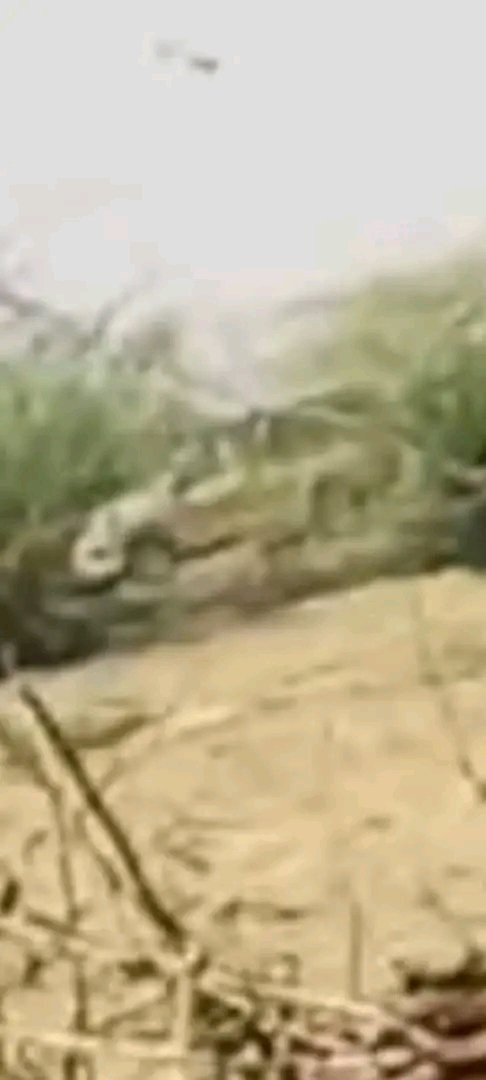 G7D2 5TasAALSeV.jpg