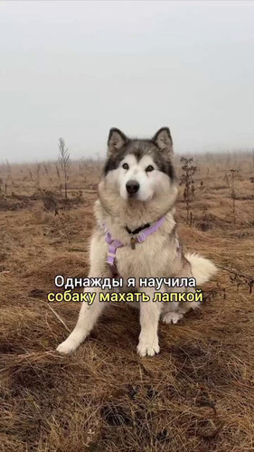 pEqz6WFetTB8g7EU.jpg