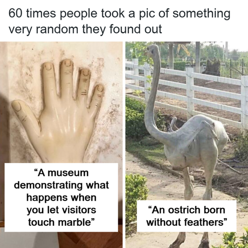 if photos 720.png