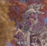 1000000728.gif