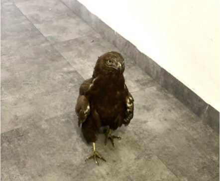 NEeFNSlAH3RwjwWuXzPcIarLNeXYSeIwGEVY4yWsmZxtSHucHHMW0Tc5xqaj3sDYseyXrWR2B1fwV0R034tMeJU7YDV BD1WmqVm.jpg