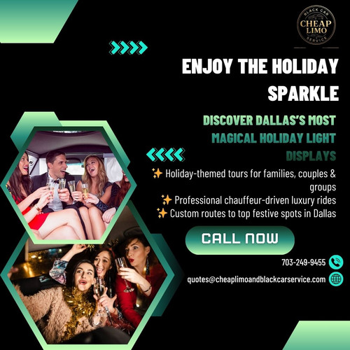 Dallas Holiday Lights Tours.jpg