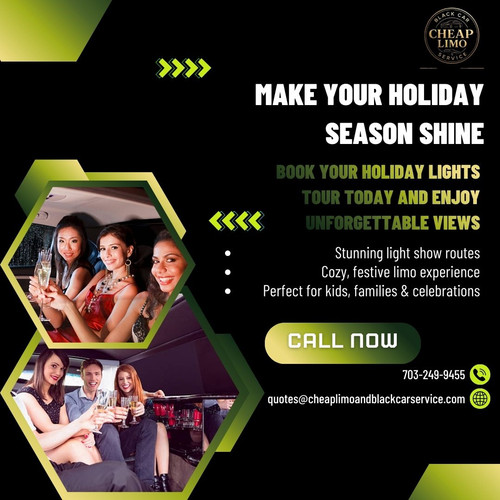 Holiday Lights Tours.jpg