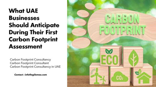 Carbon footprint.jpg