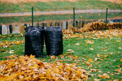 Fall Leaf Cleanup in Overland Park – Get Fast and Professional Seasonal Yard Care.png