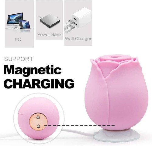 4 51a0fLNYSjL. AC SL1010 .jpg