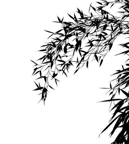IMG 20260211 035946.png