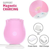 6 61g8kDjS+tL. AC SL1500 