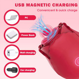 5 61cHH8tuj6L. AC SL1000 