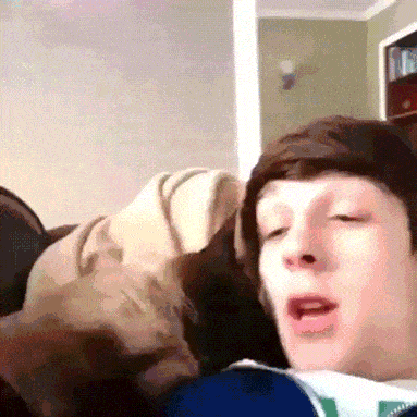 fy3yRII.gif