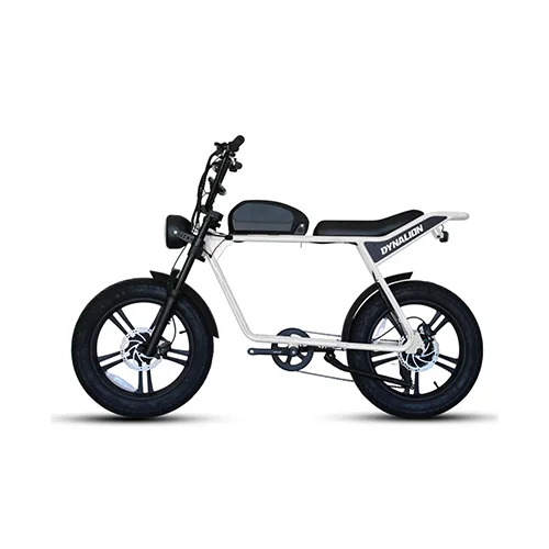 Electric Bike Tire Repair Atlanta.jpg
