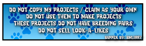 beetriz proj rules blue