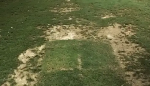 São Paulo enfrenta crise estrutural na pré-temporada em Cotia