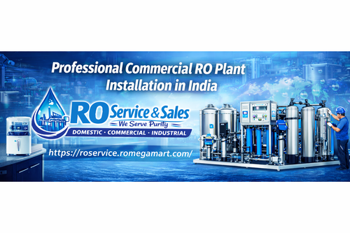 Professional Commercial RO Plant Installation in India.png