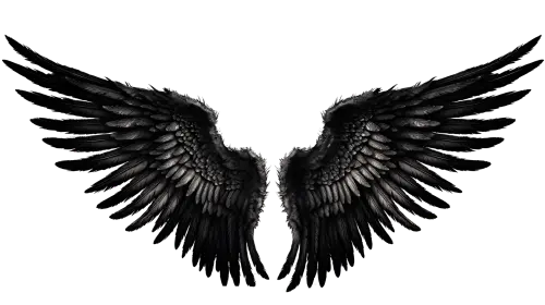 black angel wings ornament isolated on a transparent background generative ai png.webp