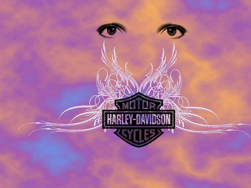 HD wallpaper harley wings art wings harley davidson eyes abstract pink harley.jpg