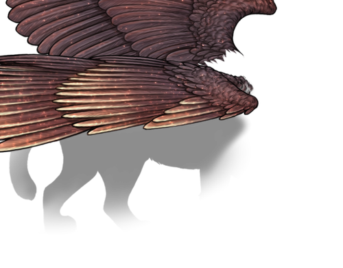 ambrossia female.png