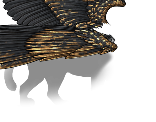 black gold female.png