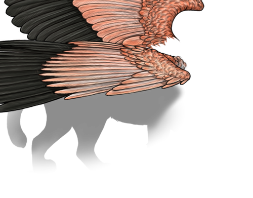 flamingo female.png